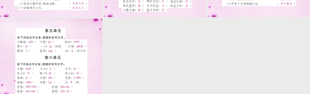 中考语文 第一轮 复习教材 夯基固本 九下 语音、汉字、词语梳理课件 新人教版 课件