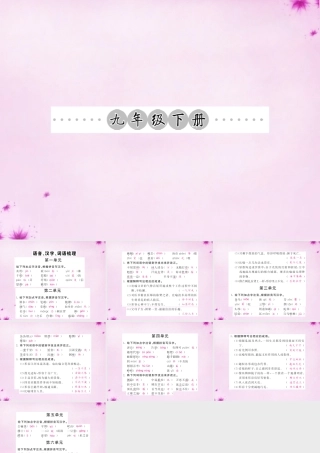 中考语文 第一轮 复习教材 夯基固本 九下 语音、汉字、词语梳理课件 新人教版 课件