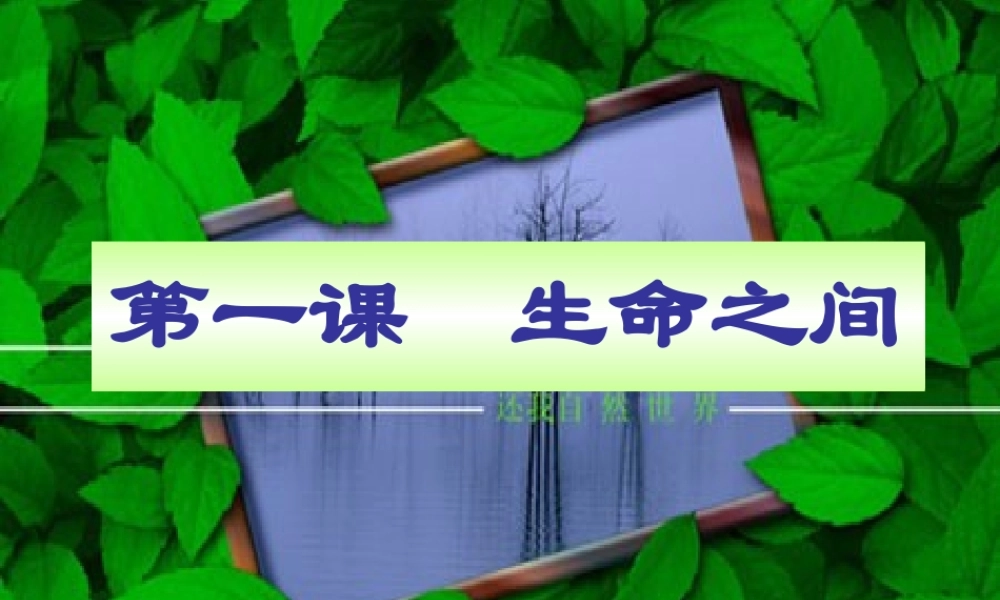 七年级政治上册 3-1(生命之间)课件 人民版 课件