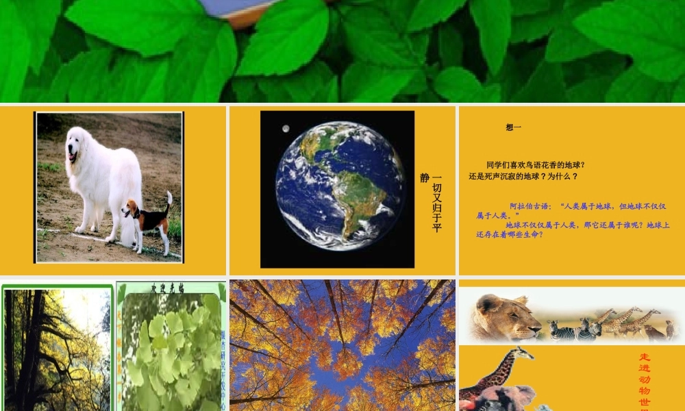 七年级政治上册 3-1(生命之间)课件 人民版 课件