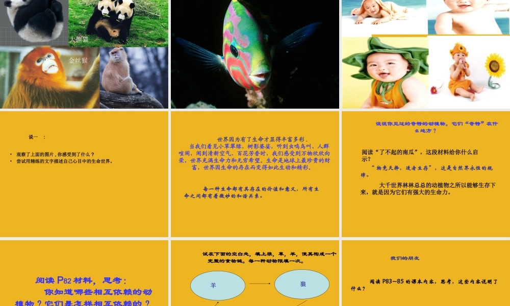 七年级政治上册 3-1(生命之间)课件 人民版 课件