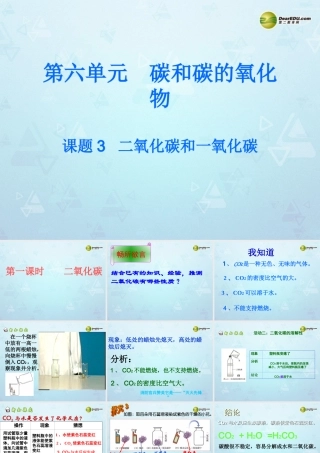 九年级化学上册 第6单元 第3节 二氧化碳和一氧化碳课件 新人教版 课件