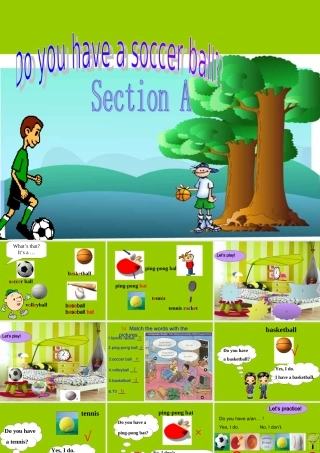 Unit5 Section A课件 新目标七年级上 七年级英语上Unit5 Do you have a soccer ball课件(2个) 人教版新目标
