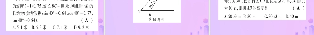 (云南专用)中考数学 第一轮 考点系统复习 第4章 三角形 第6节 锐角三角函数及其应用作业课件