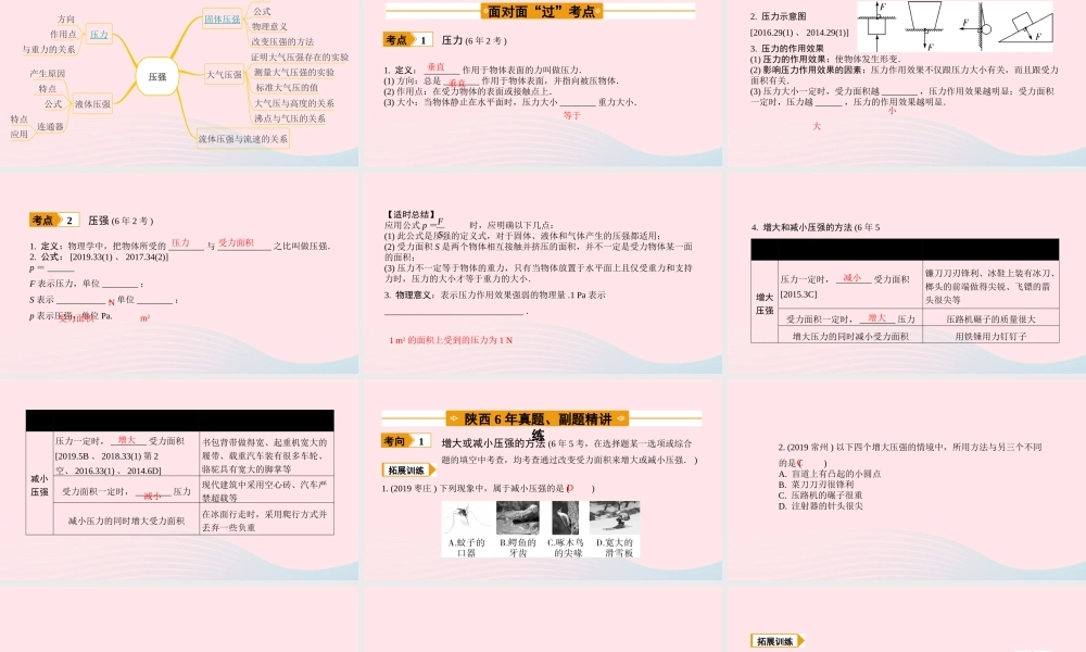 中考物理一轮复习 基础考点一遍过 第十章 压强和浮力 命题点1 压力 压强课件