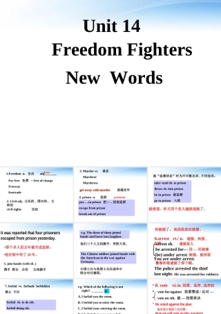11-12年高二英语 Unit 14 Freedom Fighters New words课件 大纲人教版 课件