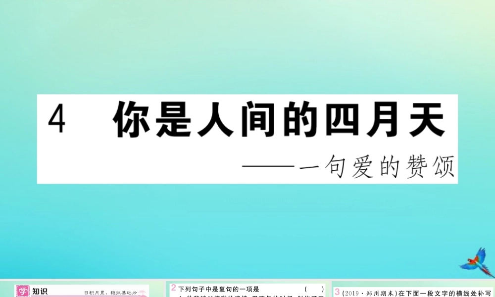 (河南专版)九年级语文上册 第一单元 4 你是人间的四月天作业课件 新人教版 课件