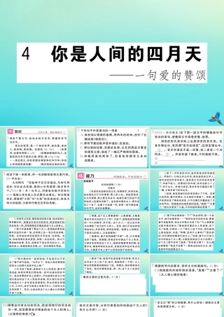 (河南专版)九年级语文上册 第一单元 4 你是人间的四月天作业课件 新人教版 课件