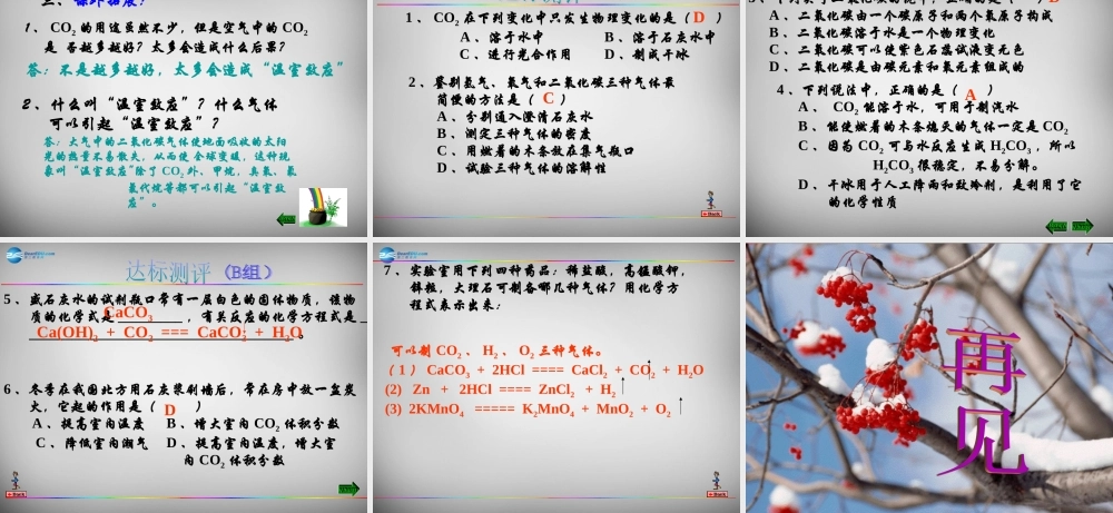 九年级化学上册 第6单元 课题3 二氧化碳和一氧化碳课件 (新版)新人教版 课件