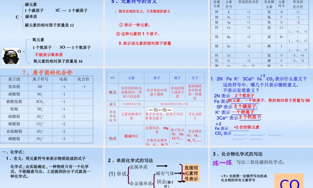 中考科学 元素复习课件 浙教版 课件
