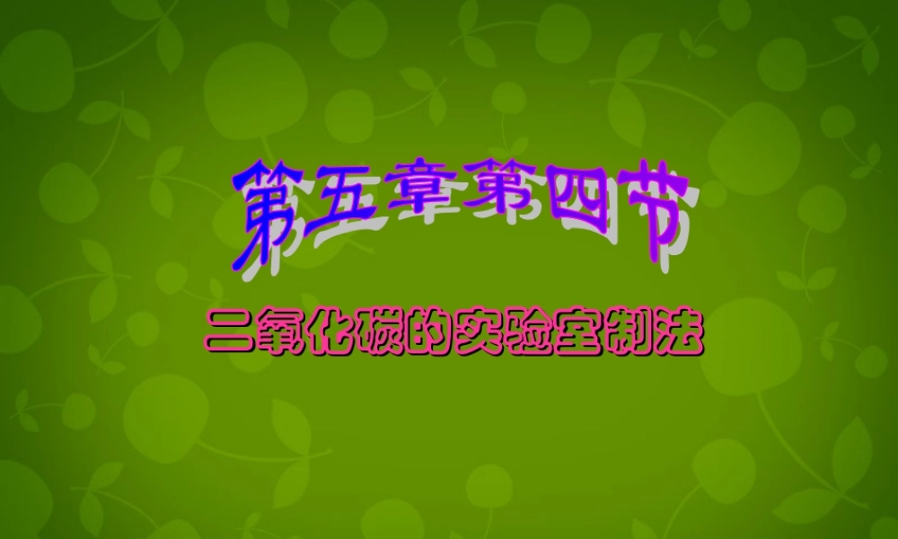 九年级化学上册 6.2 二氧化碳制取的研究课件 (新版)新人教版 课件
