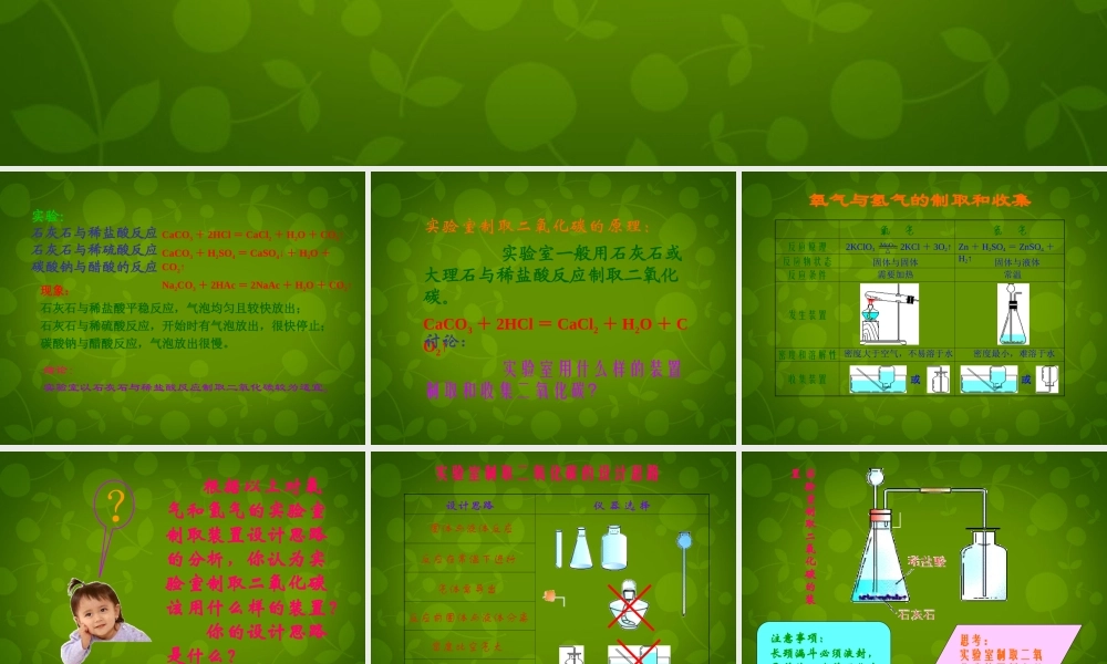九年级化学上册 6.2 二氧化碳制取的研究课件 (新版)新人教版 课件