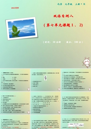 九年级化学上册 双休自测八(第七单元 课题1、2)作业课件 (新版)新人教版 课件