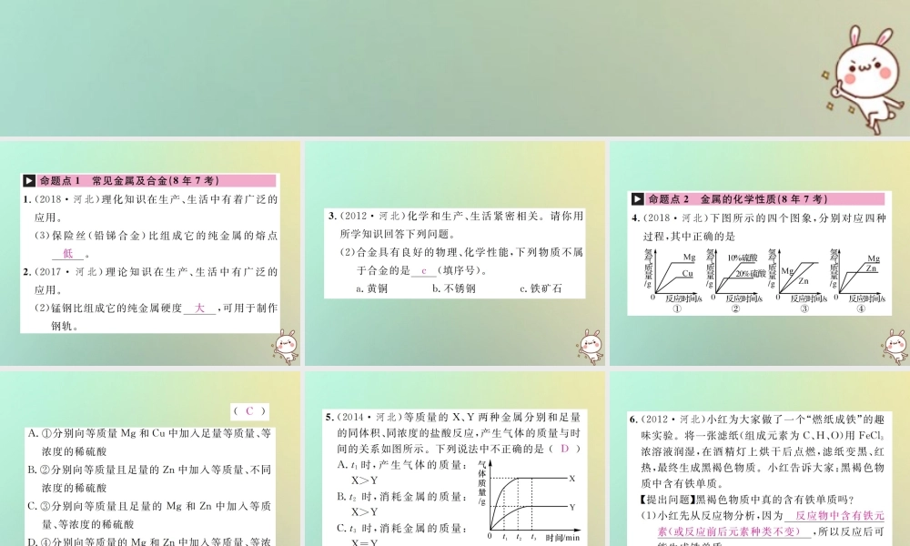 (河北专版)中考化学复习 主题一 身边的化学物质 第5讲 金属和金属矿物课件