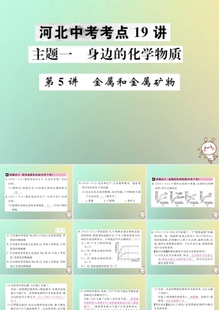 (河北专版)中考化学复习 主题一 身边的化学物质 第5讲 金属和金属矿物课件