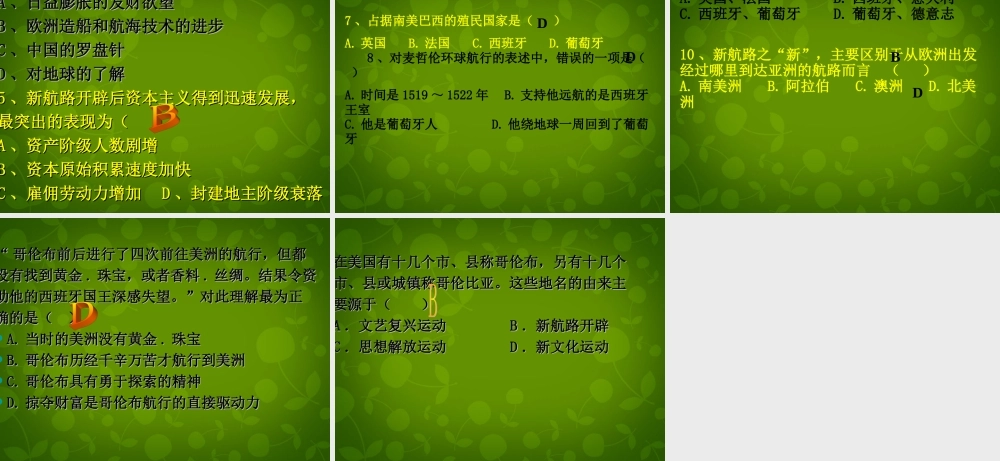 九年级历史上册 2 探险者的梦想课件 北师大版 课件