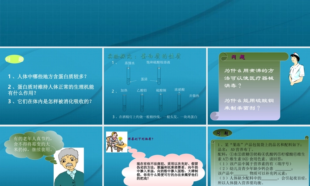 九年级化学 83蛋白质和维生素课件 沪教版 课件