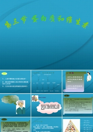 九年级化学 83蛋白质和维生素课件 沪教版 课件