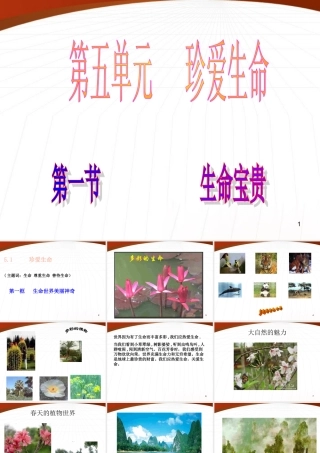 七年级政治下册 5-1(生命宝贵)课件 粤教版 课件