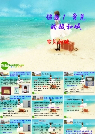 九年级化学下册 (常见的碱)课件 人教新课标版 课件