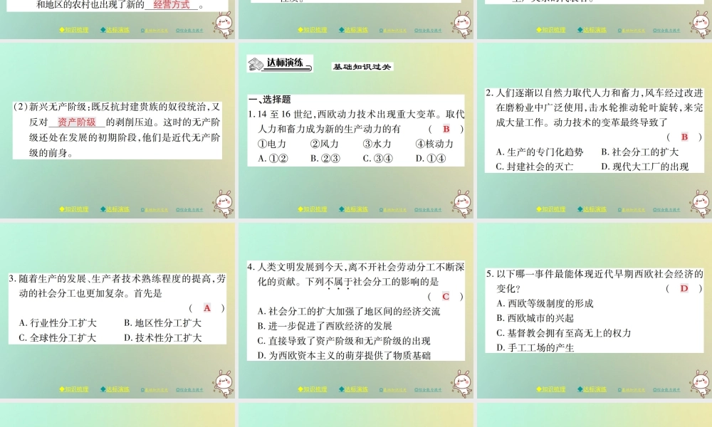 九年级历史上册 第五单元 资本主义的兴起 第十二课 西欧资本主义的产生课件 川教版 课件