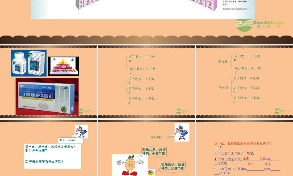 九年级化学上册(组成物质的化学元素)课件9 沪教版 课件