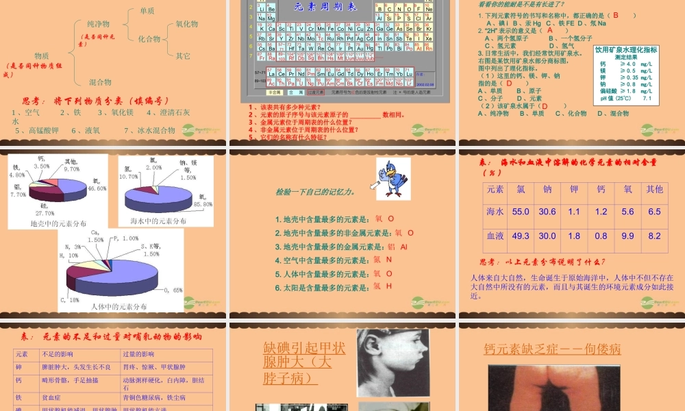 九年级化学上册(组成物质的化学元素)课件9 沪教版 课件