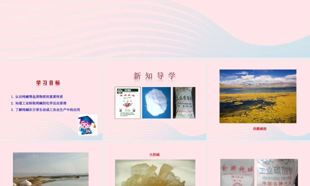 九年级化学下册 第八单元 第三节 海水 制碱课件 鲁教版 课件