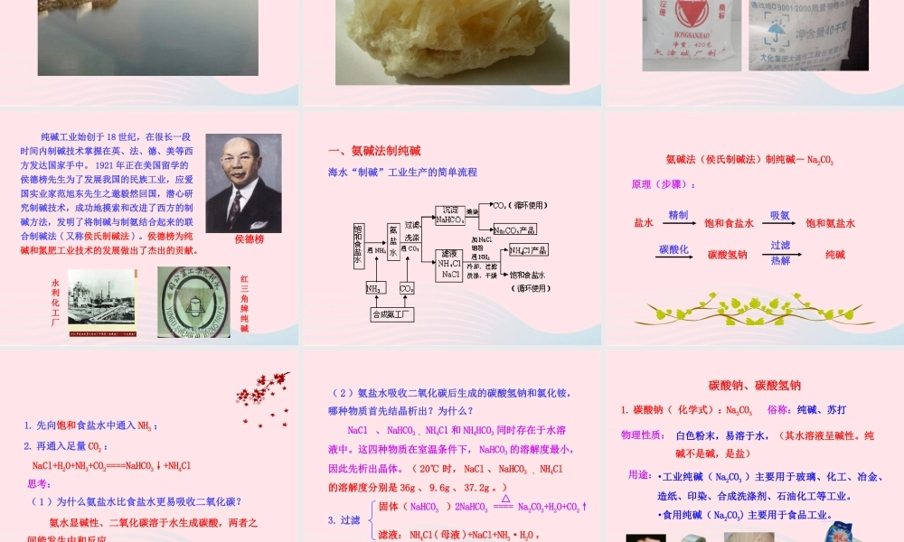 九年级化学下册 第八单元 第三节 海水 制碱课件 鲁教版 课件