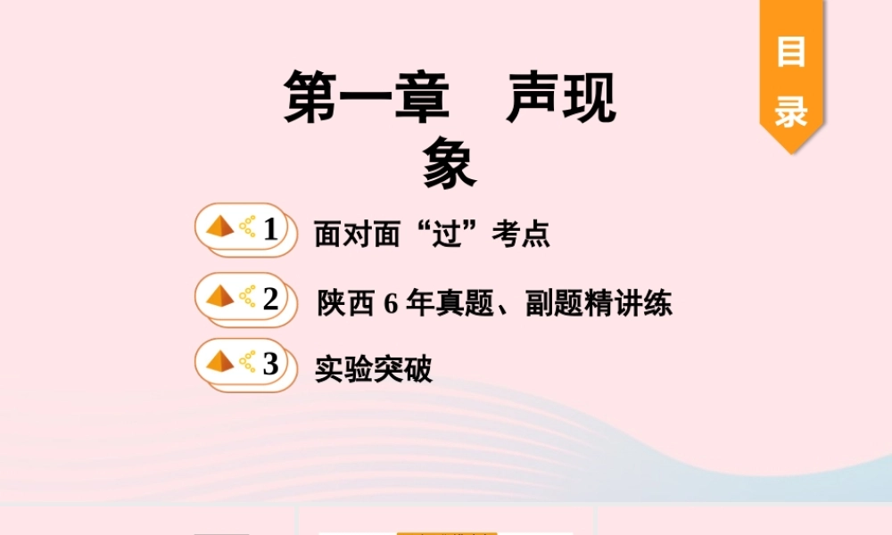 中考物理一轮复习 基础考点一遍过 第一章 声现象课件