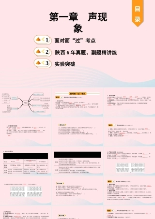 中考物理一轮复习 基础考点一遍过 第一章 声现象课件