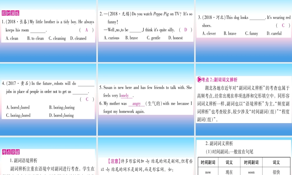 (湖北专用版)版中考英语复习 第二篇 中考专题突破 第一部分 语法专题 专题突破5 形容词和副词课件