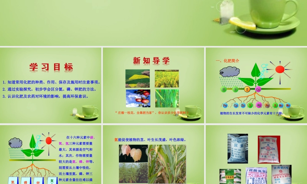 九年级化学下册 第11单元 课题2 化学肥料课件 (新版)新人教版 课件