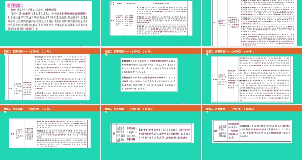 中考语文总复习 第二部分 语文积累与综合运用 专题二 名著阅读(水浒传)课件