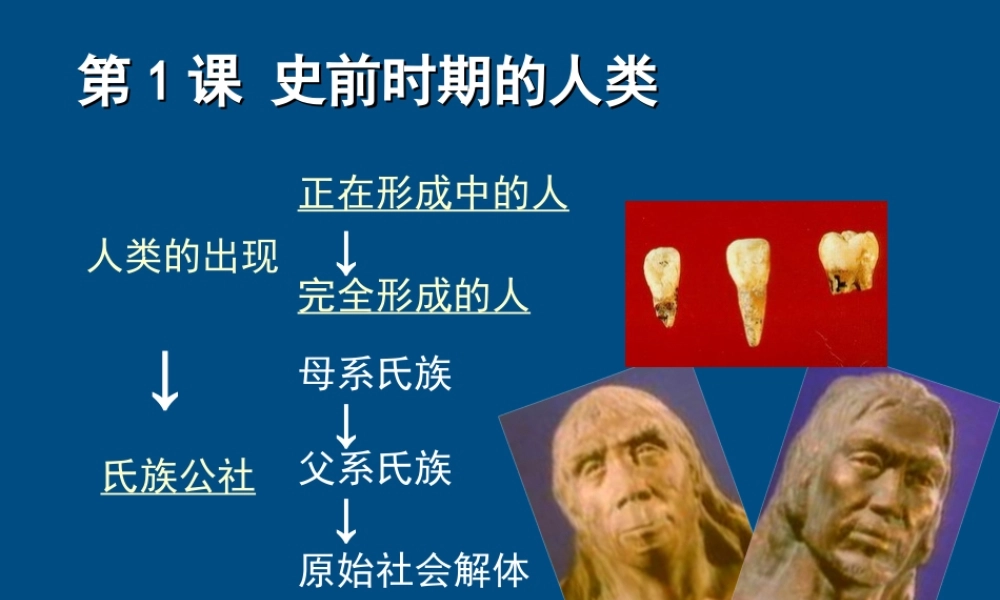 九年级历史上册 第1课(史前时期的人类)课件(1) 华东师大版 课件