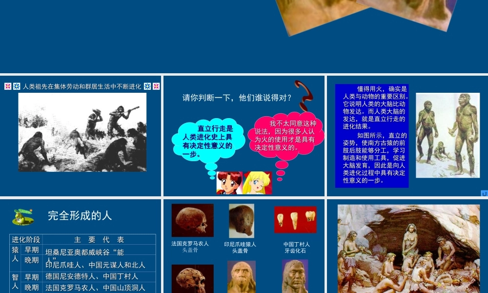 九年级历史上册 第1课(史前时期的人类)课件(1) 华东师大版 课件
