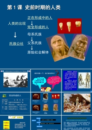 九年级历史上册 第1课(史前时期的人类)课件(1) 华东师大版 课件
