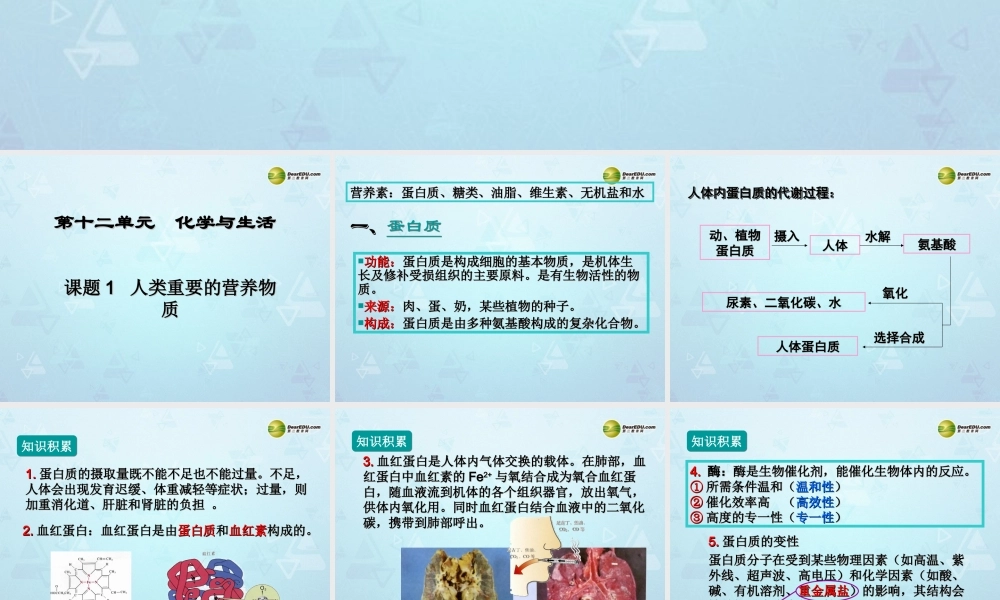 九年级化学下册 第12单元 课题1 人类重要的营养物质课件 新人教版 课件