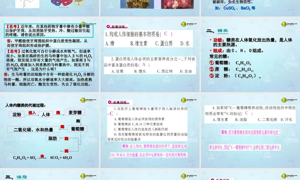 九年级化学下册 第12单元 课题1 人类重要的营养物质课件 新人教版 课件