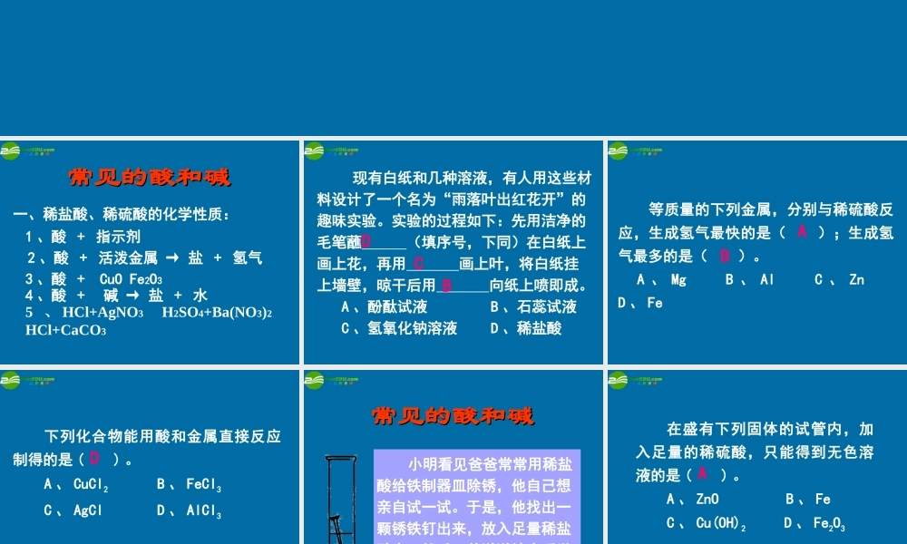 九年级化学 72常见的酸和碱课件7沪教版 课件
