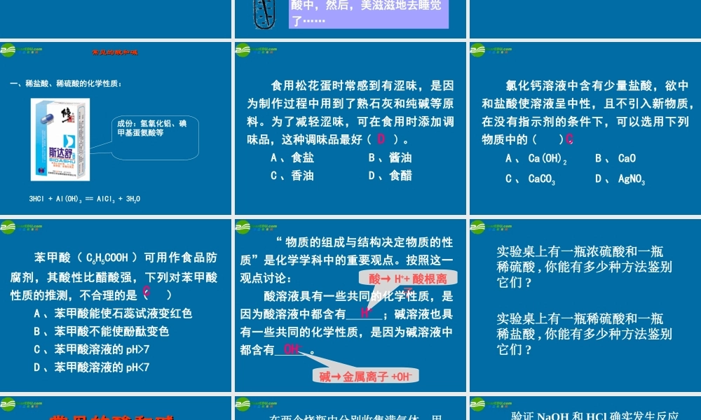 九年级化学 72常见的酸和碱课件7沪教版 课件
