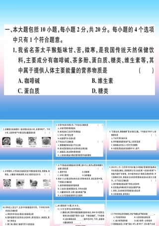 九年级化学下册 第十二单元 化学与生活检测卷习题课件 新人教版 课件