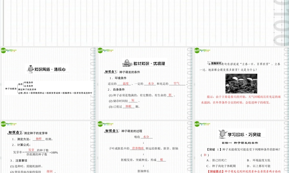 (随堂优化训练)七年级生物上册 第三单元 第二章 第一节 种子的萌发配套课件 人教新课标版 课件