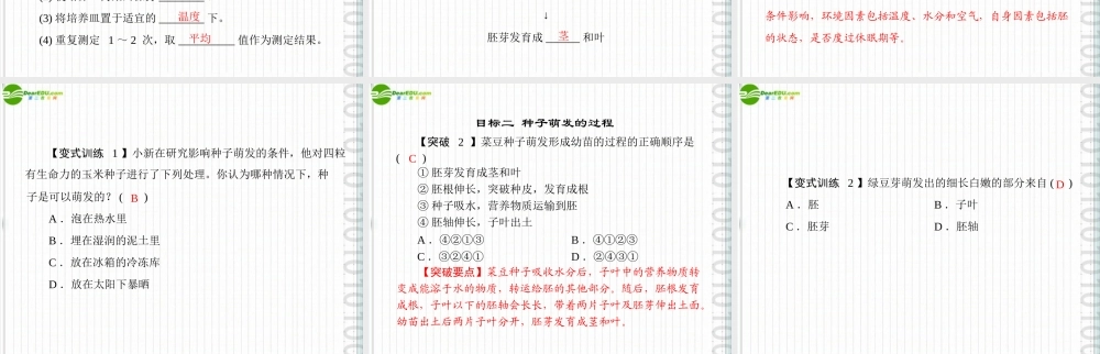 (随堂优化训练)七年级生物上册 第三单元 第二章 第一节 种子的萌发配套课件 人教新课标版 课件