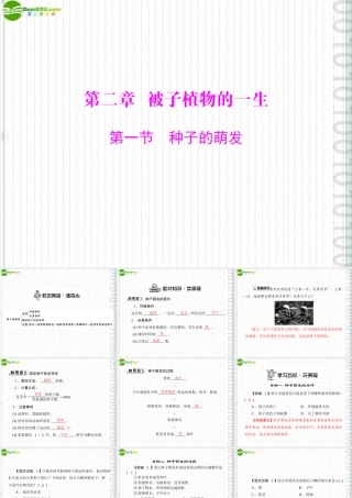 (随堂优化训练)七年级生物上册 第三单元 第二章 第一节 种子的萌发配套课件 人教新课标版 课件