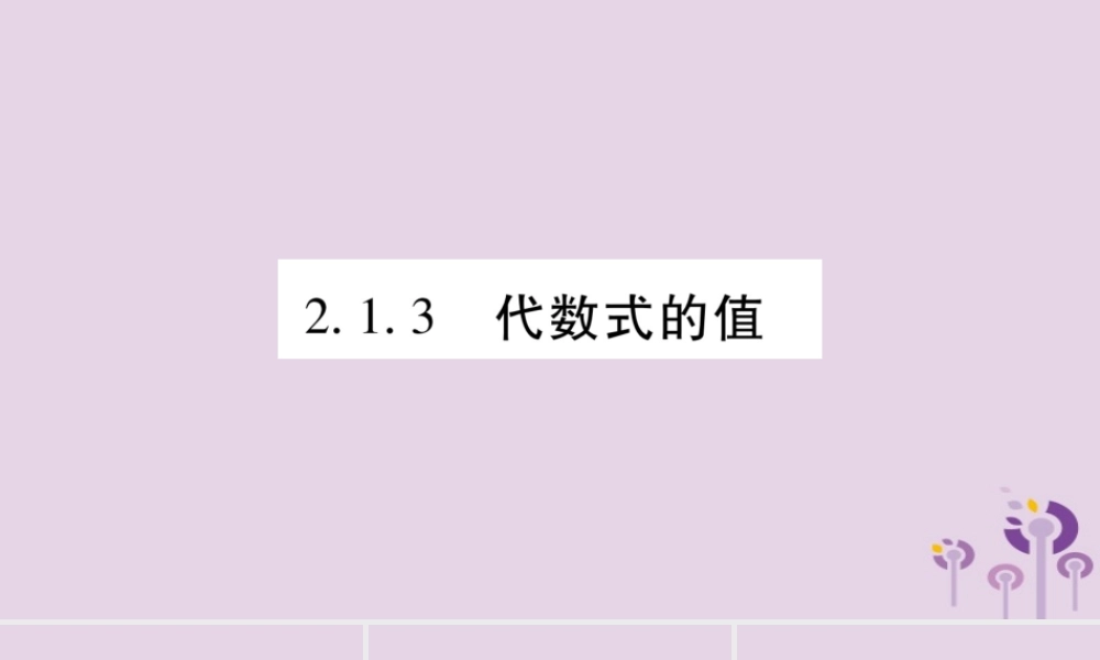 七年级数学上册 第2章 整式加减 2.1 代数式 2.1.3 代数式的值课件 (新版)沪科版 课件
