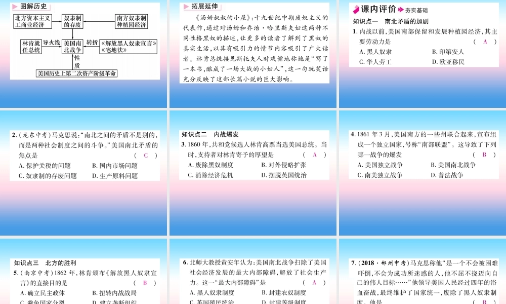 九年级历史下册 第1单元 殖民地人民的反抗与资本主义制度的扩展 第3课 美国内战自主学习课件 新人教版 课件