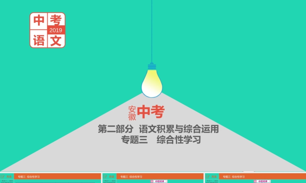 中考语文总复习 第二部分 语文积累与综合运用 专题三 综合性学习课件