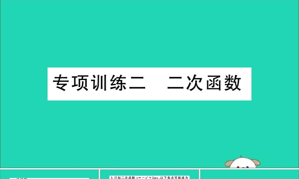 (湖北专用)九年级数学下册 专项训练二 二次函数习题讲评课件 (新版)新人教版 课件