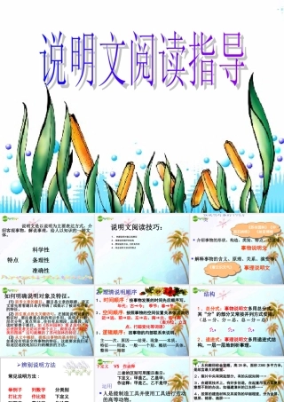 中考语文复习 说明文阅读课件